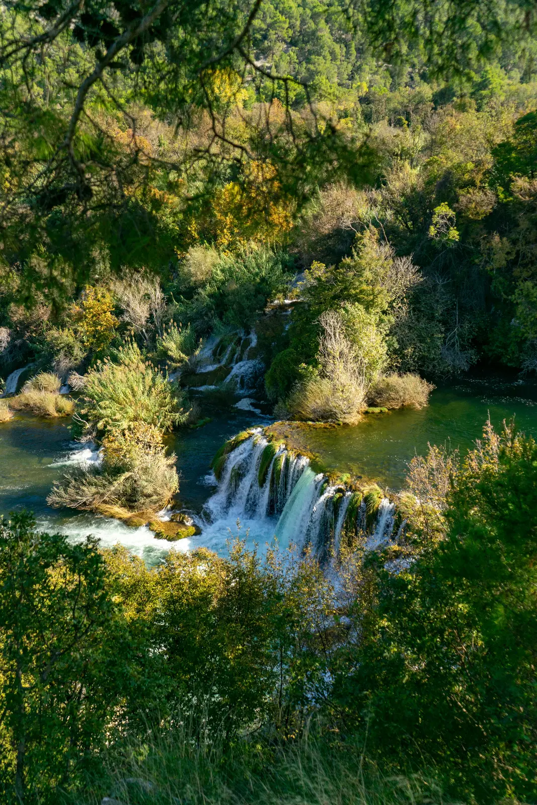 NP Krka